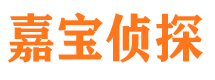 玉山市私家侦探